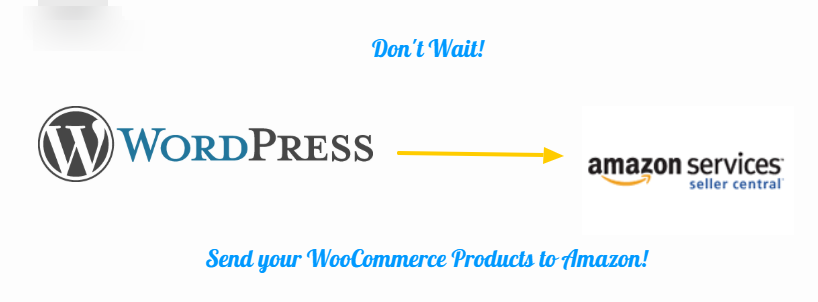 Amazon Seller Product Feed Export From WordPress to Amazon Seller