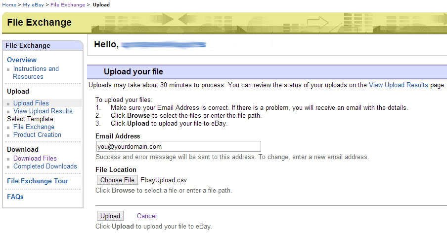 ebay bulk upload file exchange
